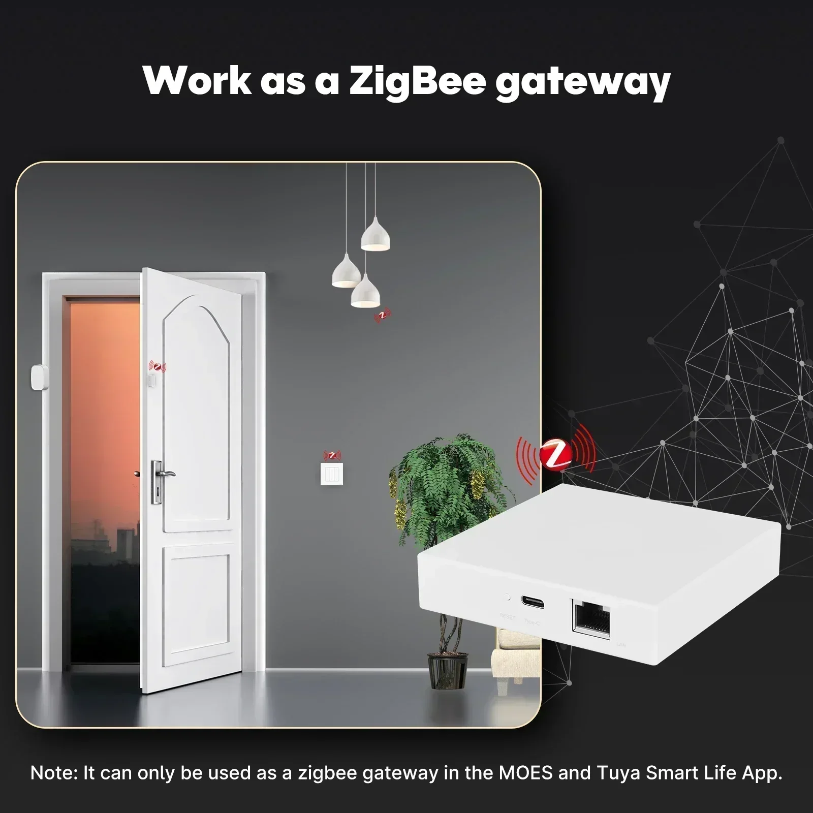 MOES Tuya Zigbee Matter Thread - Smart Home Iot reseña y precio