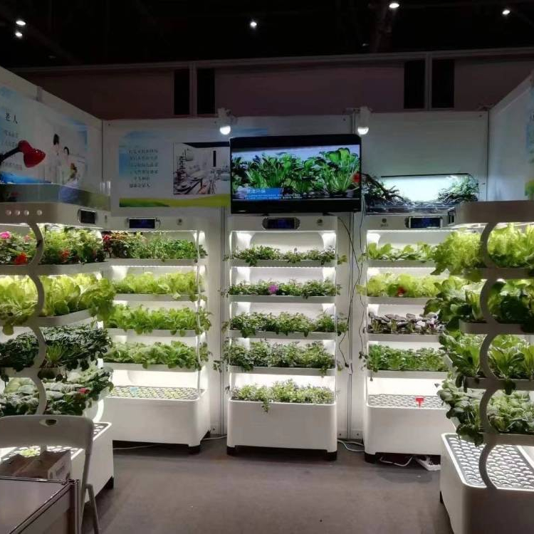 Intelligent Hydroponic Growing - Smart Home Uses reseña y precio