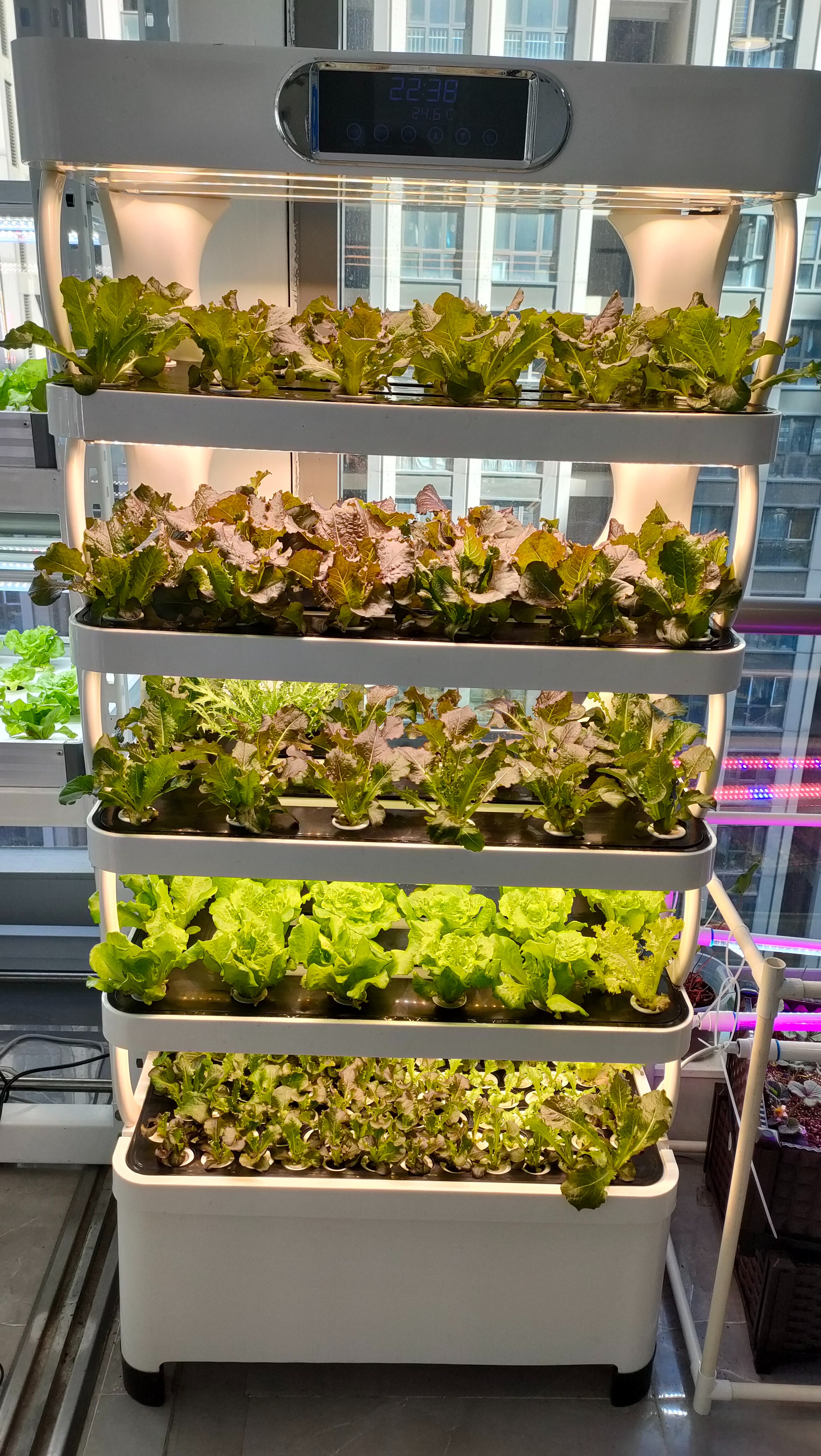 Intelligent Hydroponic Growing - Smart Home Uses reseña y precio